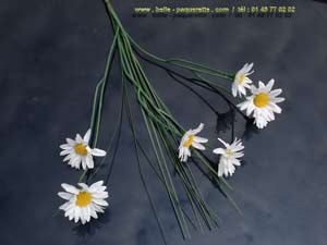 cliquez sur la photo des paquerettes artificielles en bouquet de 7 fleurs